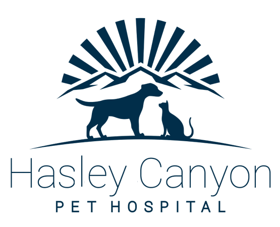 Hasley Canyon Pet Hospital